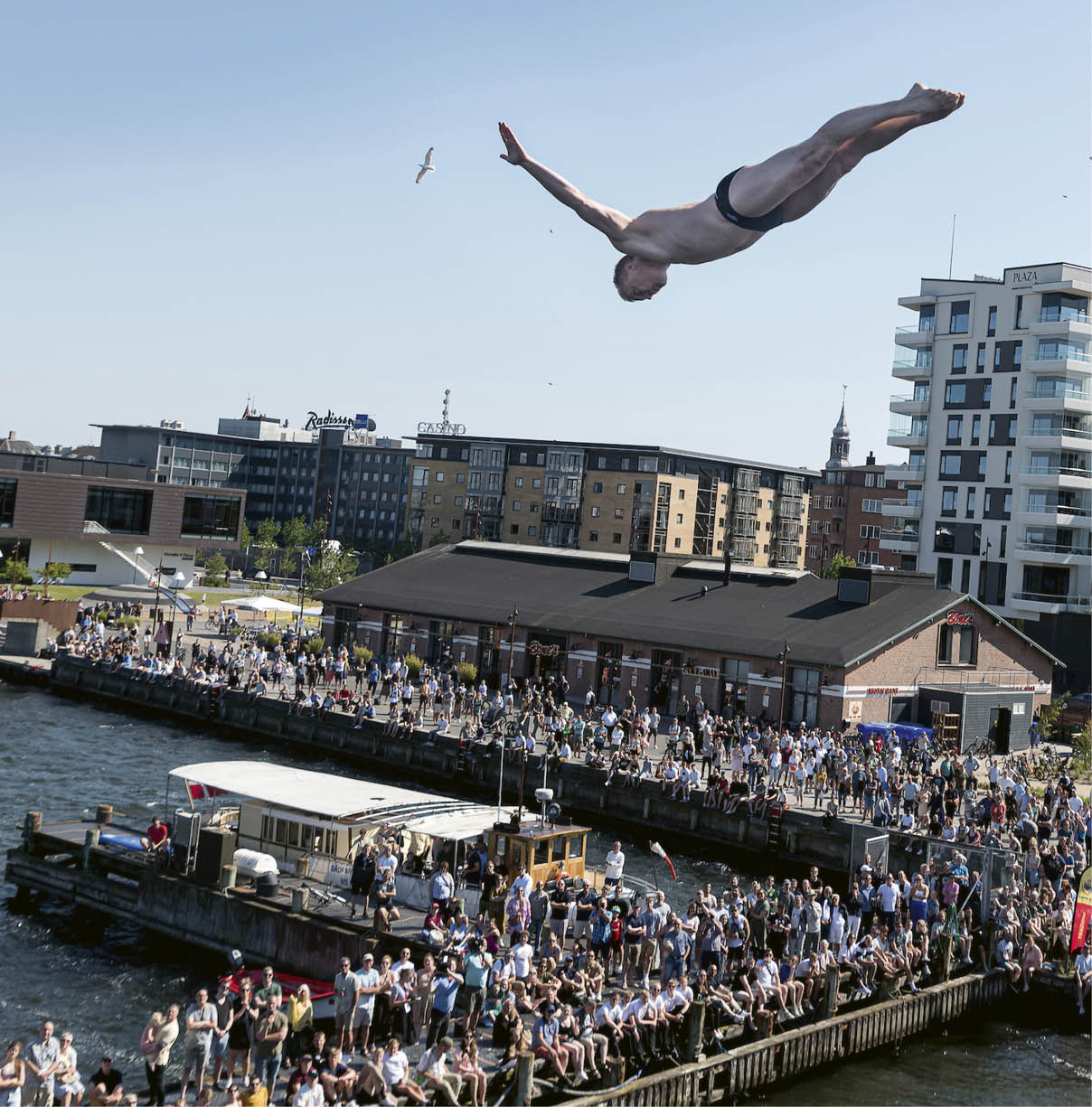 High Diving fra Limfjordsbroen. DM-Ugen. Foto: © Michael Bo Rasmussen / Baghuset. Dato: 24.06.22